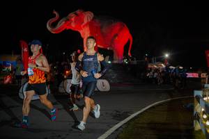 BIB: 
                            <button type="button" onclick="openModal(26551825)" class="btn btn-primary btn-sm float-right btn-popup" data-toggle="modal" data-target=".modal-high-quality">
                        <i class="fas fa-shopping-cart"></i> Add to Cart
                    </button>
                                            <button type="button" onclick="isThisMe(26551825, true)" class="btn btn-success btn-sm float-right btn-popup btn-isme hidden" data-toggle="tooltip" data-placement="bottom" title="นี่คือรูปของคุณใช่ไหม คลิกที่นี่เพื่อเอาเข้าอัลบั้ม">
                        <i class="fas fa-plus"></i> Add to album
                    </button>
                    <button type="button" onclick="isThisMe(26551825, false)" class="btn btn-warning btn-sm float-right btn-popup btn-isnotme hidden">
                        <i class="fas fa-ban"></i> Remove from album
                    </button>